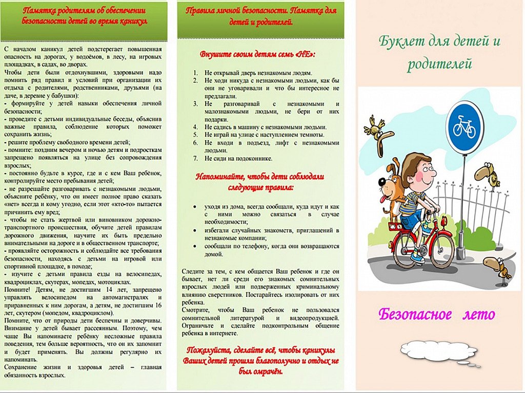 WhatsApp Image 2025 01 09 at 09.00.11